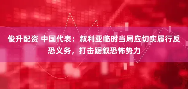 俊升配资 中国代表：叙利亚临时当局应切实履行反恐义务，打击踞叙恐怖势力