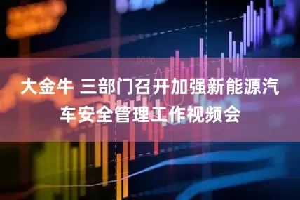 大金牛 三部门召开加强新能源汽车安全管理工作视频会