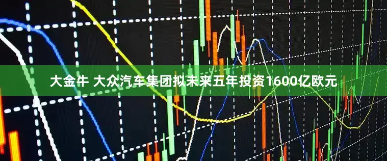 大金牛 大众汽车集团拟未来五年投资1600亿欧元