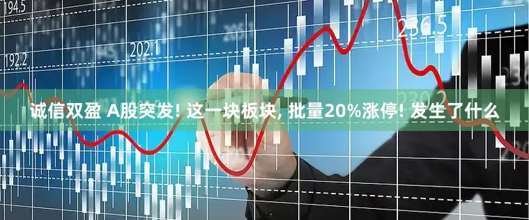 诚信双盈 A股突发! 这一块板块, 批量20%涨停! 发生了什么